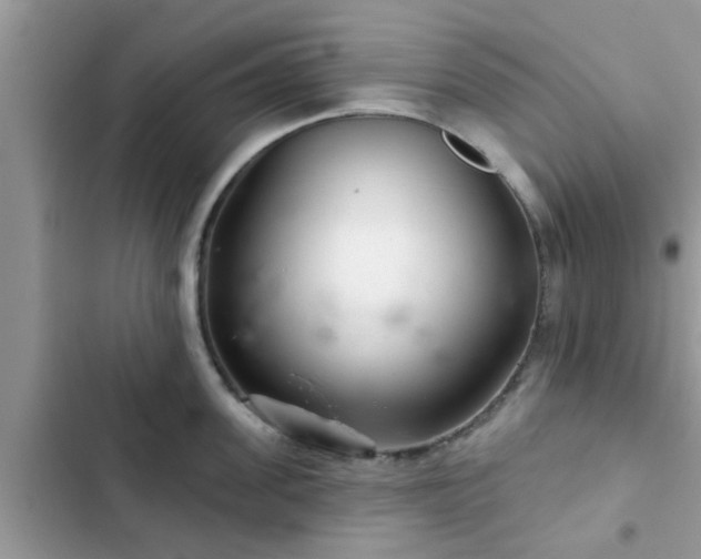 X0000102540955200808151639
