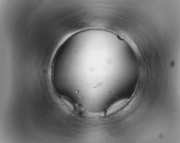 X0000102540956200808151640