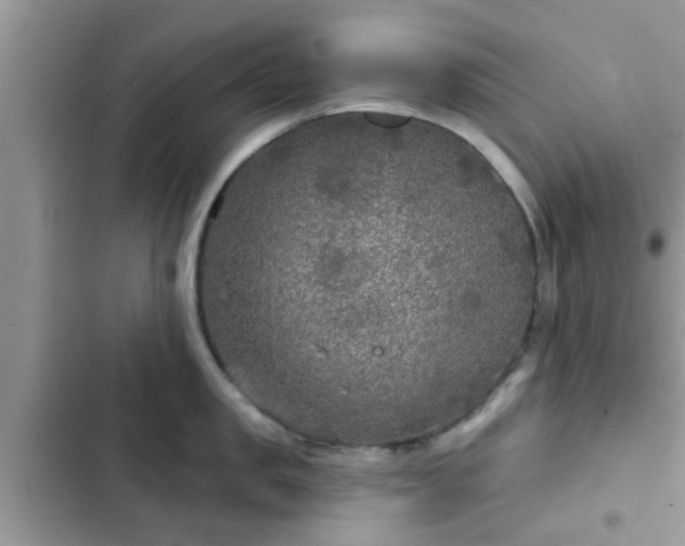X0000102540957200808151640