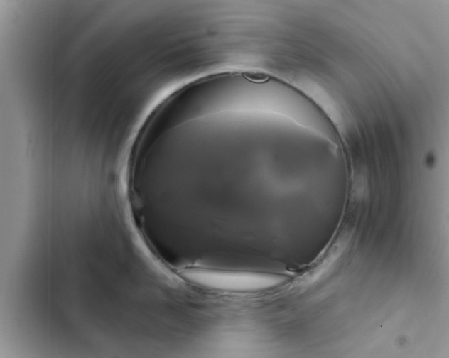 X0000102540958200808151640