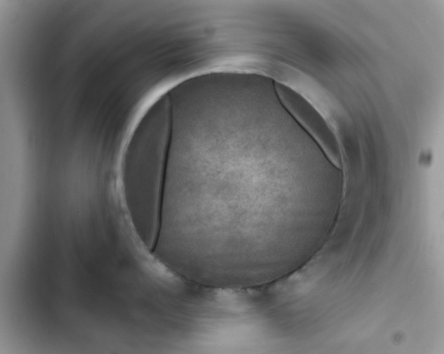 X0000102540960200808151640