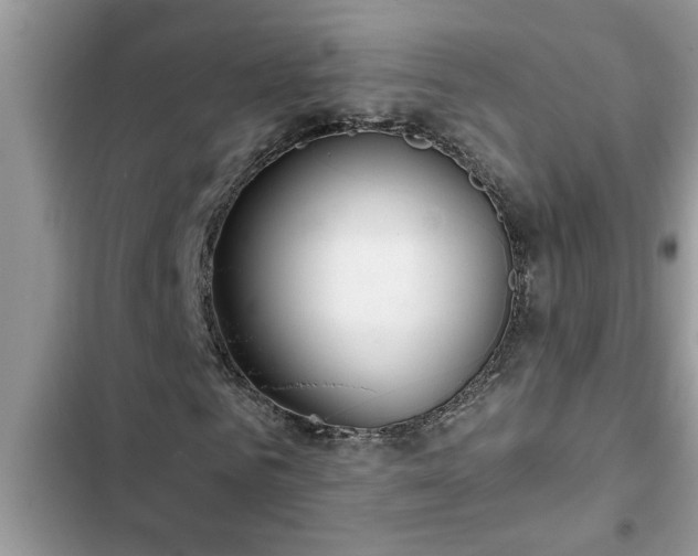 X0000102540961200808151639