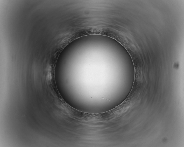 X0000102540962200808151639