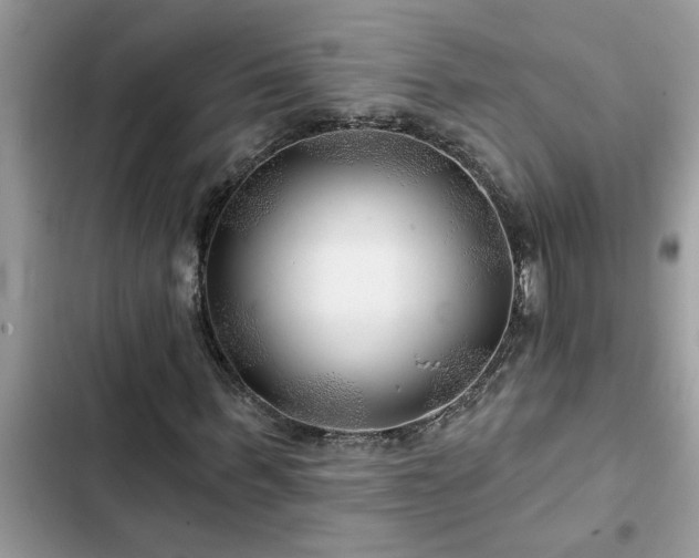 X0000102540963200808151639