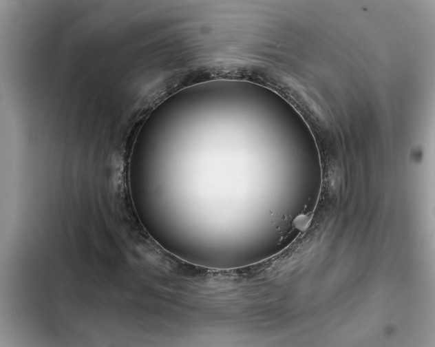 X0000102540964200808151639