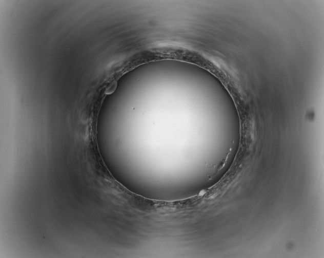 X0000102540965200808151639