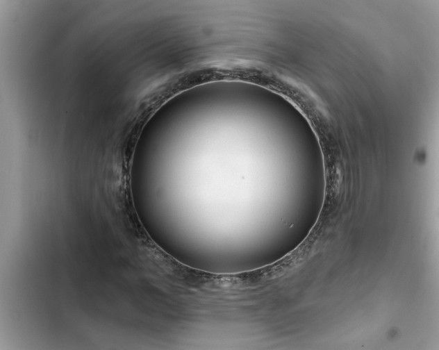 X0000102540966200808151639