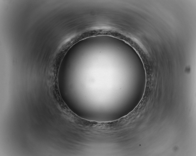 X0000102540967200808151639