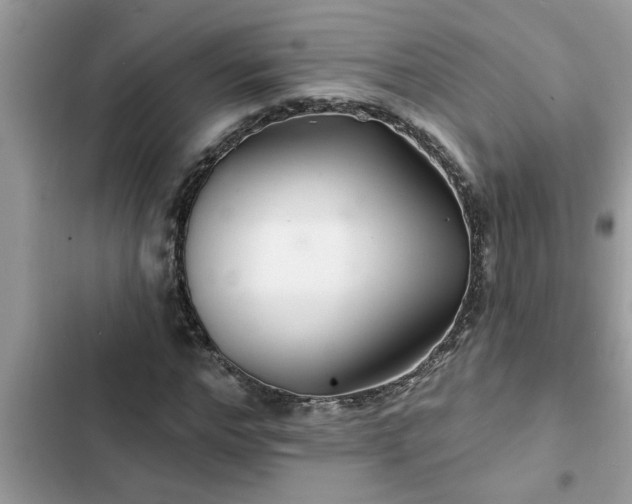 X0000102540968200808151639