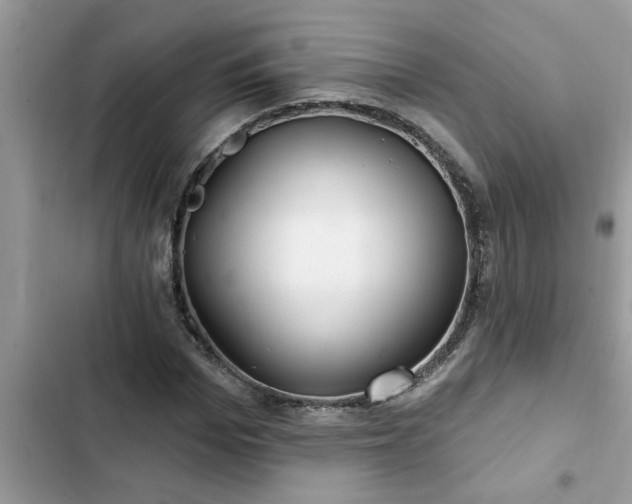 X0000102540969200808151639