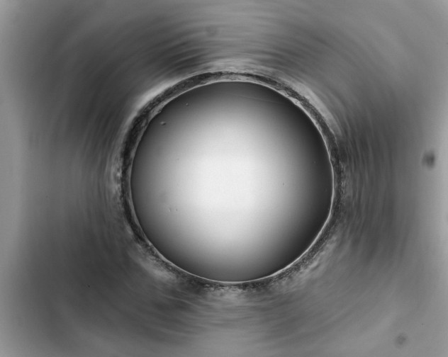 X0000102540971200808151639