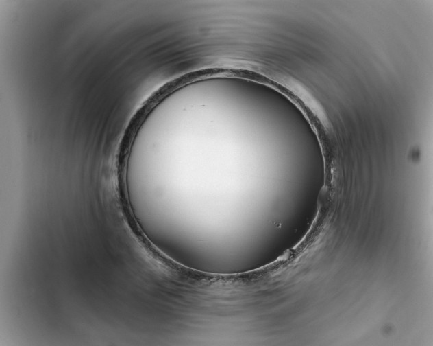 X0000102540972200808151639