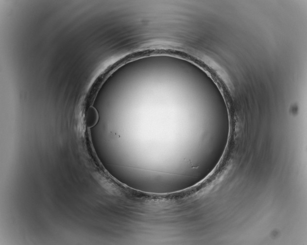 X0000102540973200808151639
