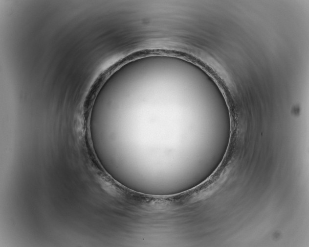 X0000102540974200808151639