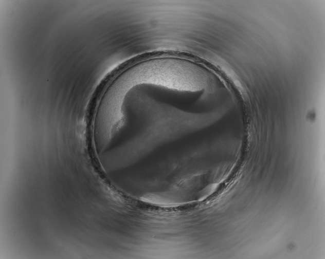 X0000102540975200808151639