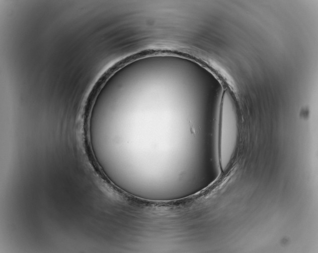 X0000102540976200808151639