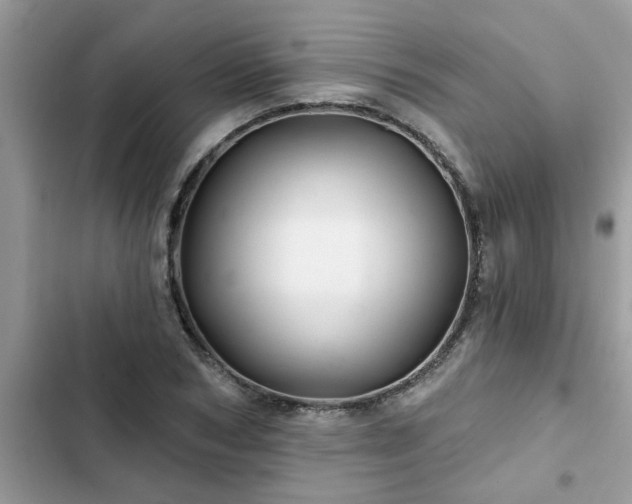 X0000102540978200808151639