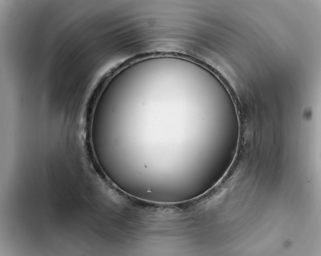 X0000102540979200808151639