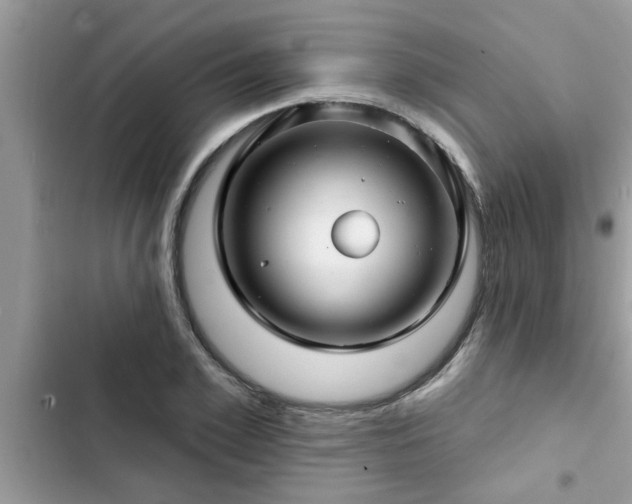 X0000102540981200808151639