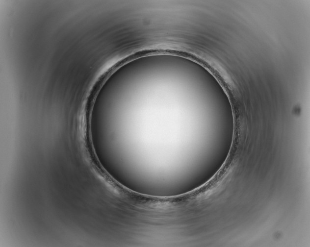 X0000102540982200808151639
