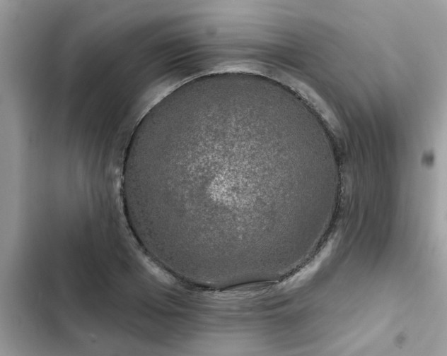 X0000102540985200808151638