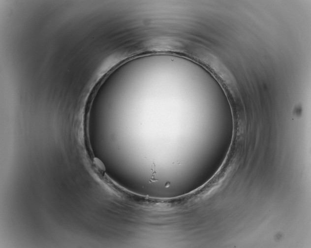 X0000102540986200808151638