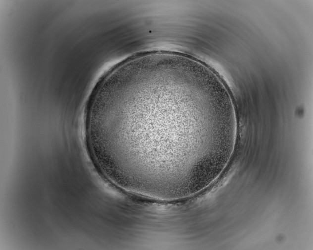 X0000102540987200808151638