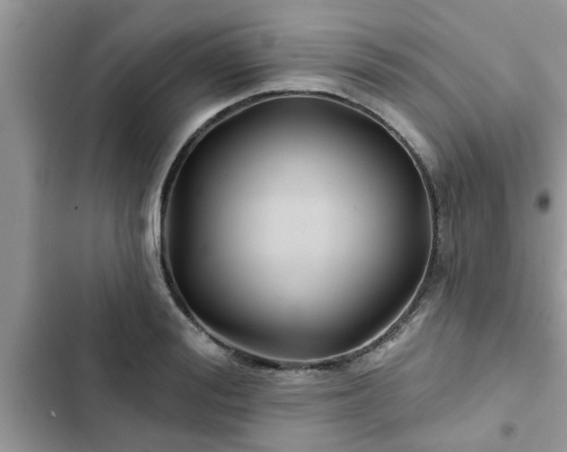 X0000102540988200808151638