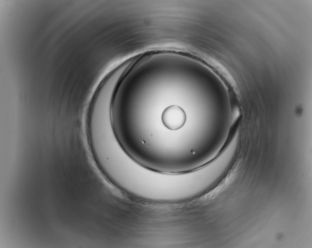 X0000102540989200808151638