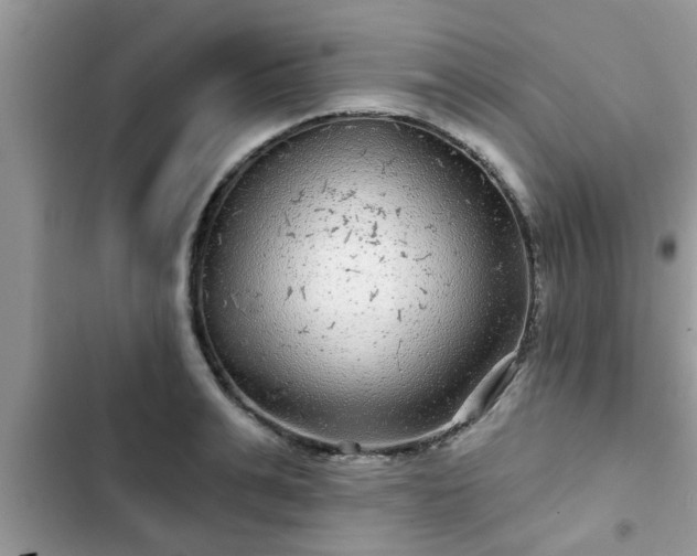 X0000102540991200808151638
