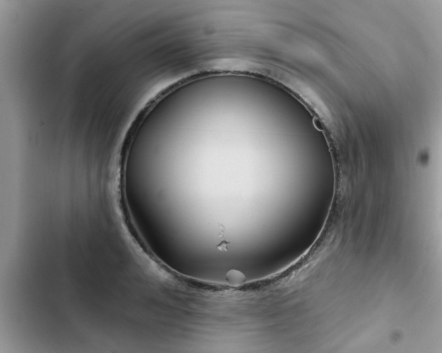 X0000102540992200808151638