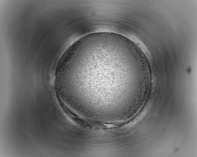 X0000102540993200808151638