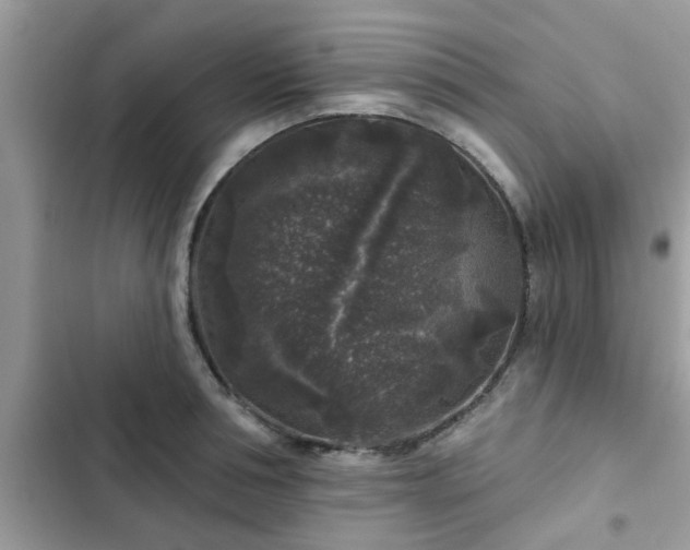 X0000102540994200808151638