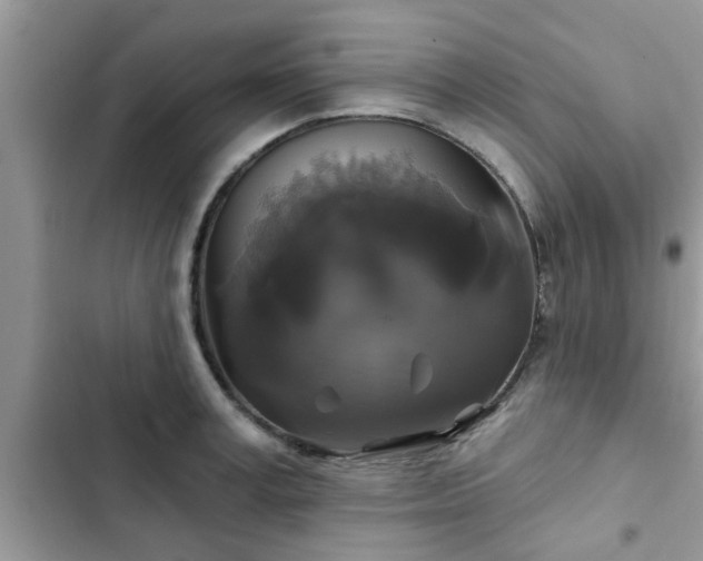 X0000102540995200808151638