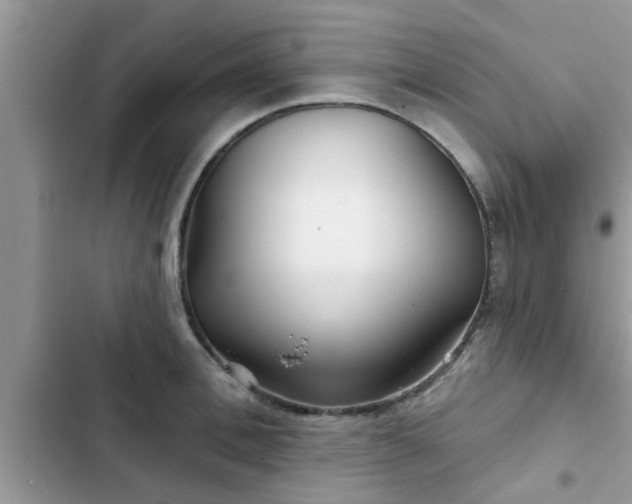X0000102540996200808151638