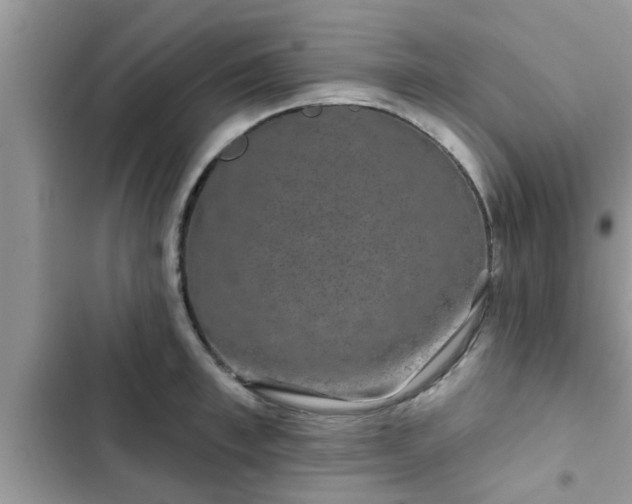 X0000102540997200808151638