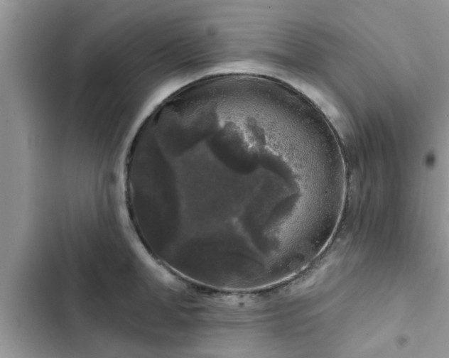 X0000102540998200808151638