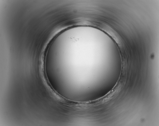 X0000102541000200808151638