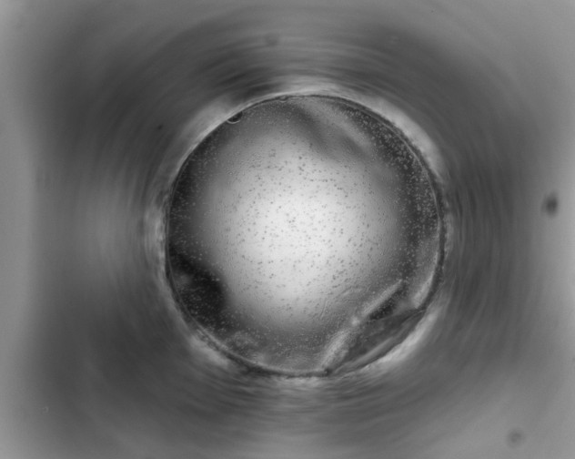 X0000102541001200808151638