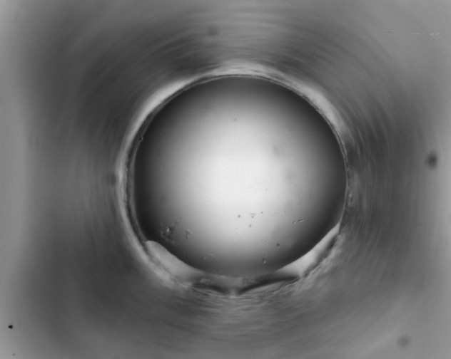 X0000102541003200808151638