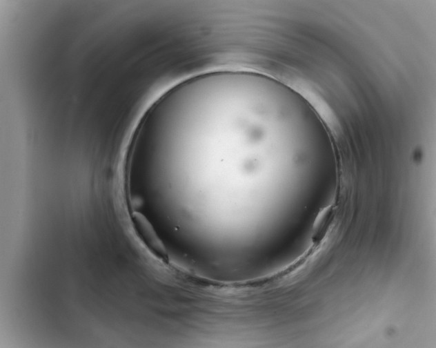 X0000102541004200808151638