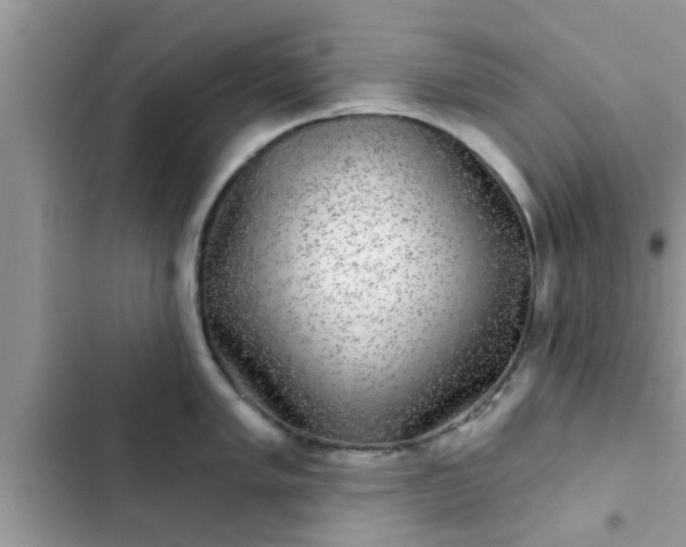 X0000102541005200808151638