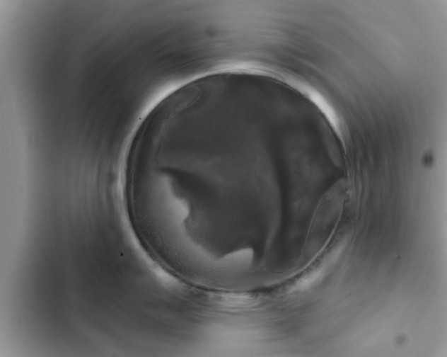 X0000102541007200808151638