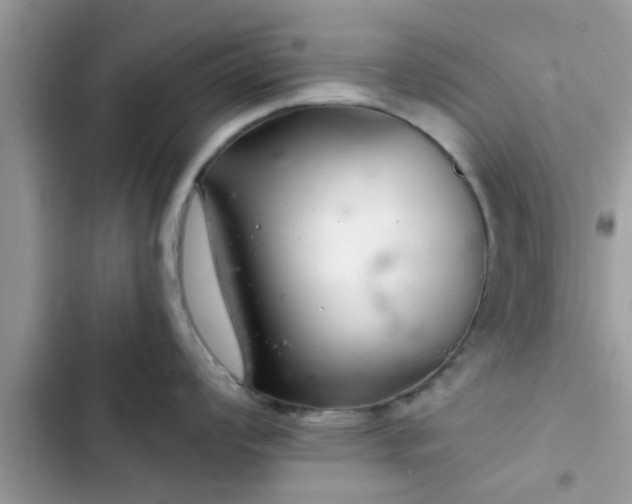 X0000102541008200808151638