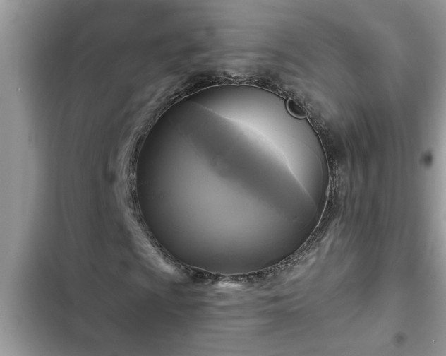 X0000102541009200808151637