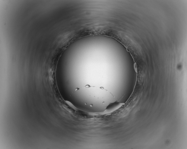 X0000102541010200808151637