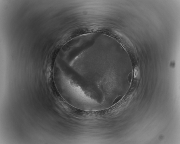 X0000102541011200808151637