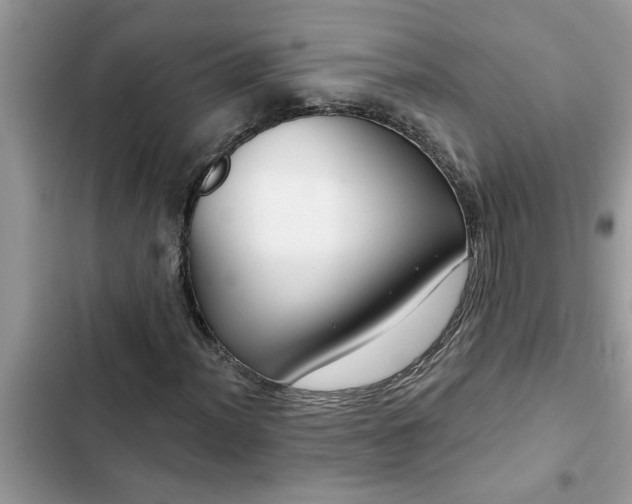 X0000102541012200808151637