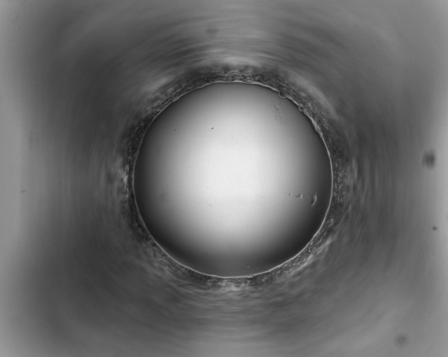 X0000102541013200808151638