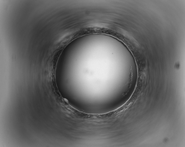 X0000102541014200808151638